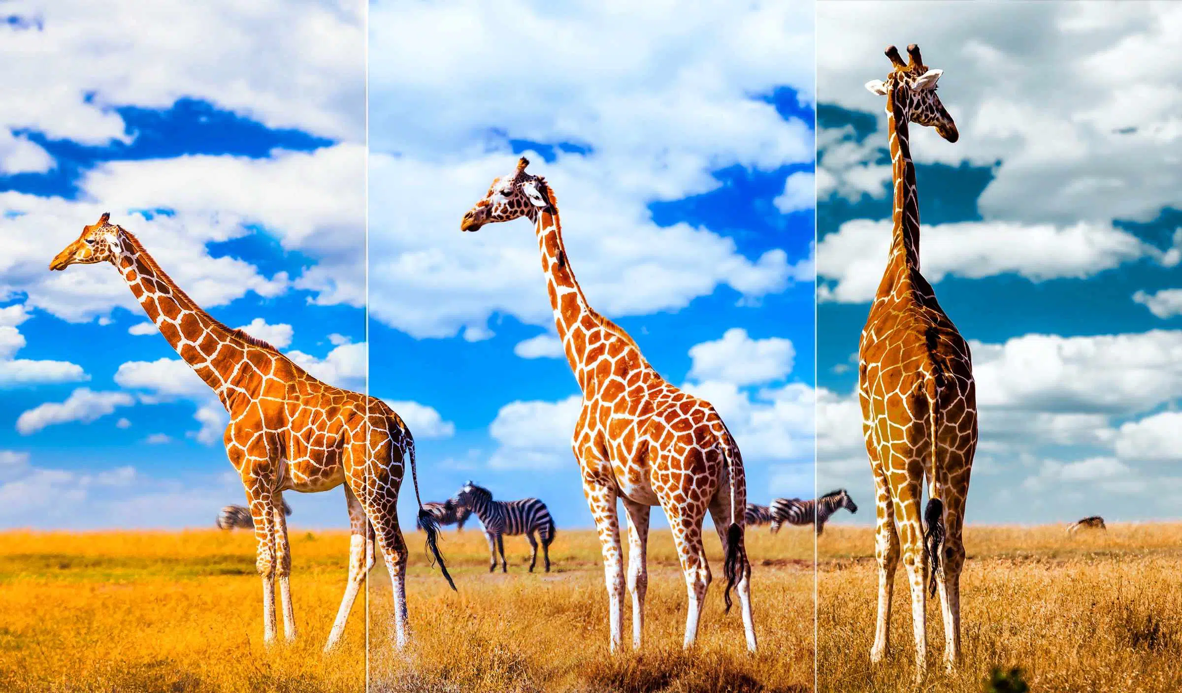 An image comparing a scene as perceived by the human eye and as enhanced by Ai-Color, highlighting the vibrant and lifelike colors.