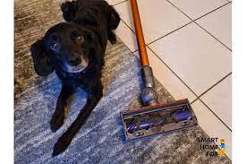 5 best cordless stick vacuum for pet hair in the UK (2023)?