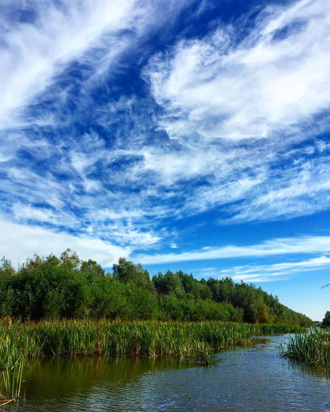 Danube Delta landscape