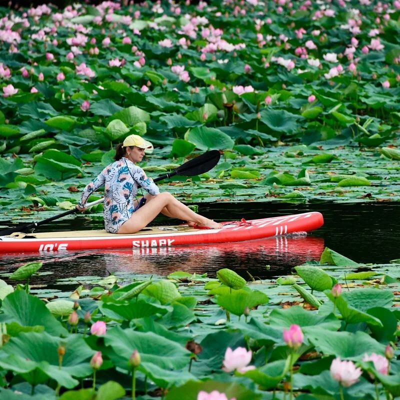 Discover the Danube Delta with Nearchus NauticTour Mahmudia