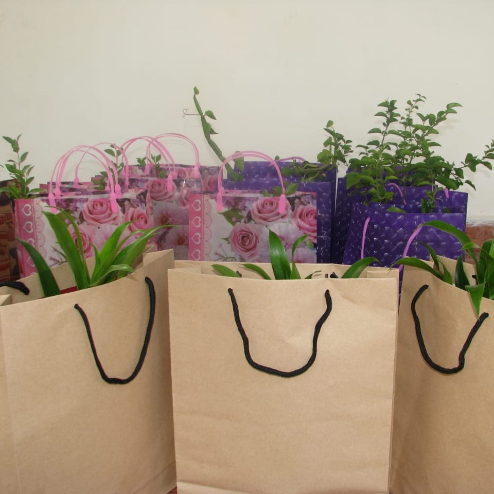 Return Gift Plant Gifting Ideas – ChhajedGarden.com